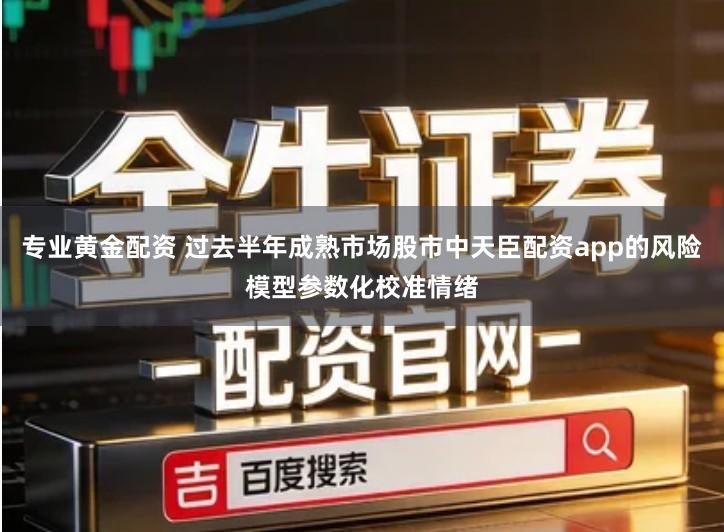 专业黄金配资 过去半年成熟市场股市中天臣配资app的风险模型参数化校准情绪